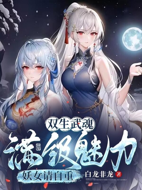 双生武魂,满级魅力,妖女请自重封面