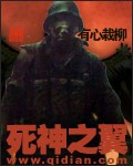 死神之翼封面