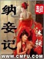 纳妾记封面