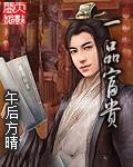 一品富贵封面