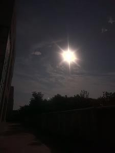 梦中江湖之无敌封面