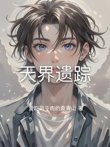 天界遗踪封面