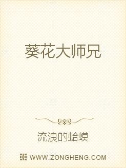 葵花大师兄封面
