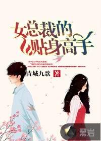 女总裁的贴身高手封面