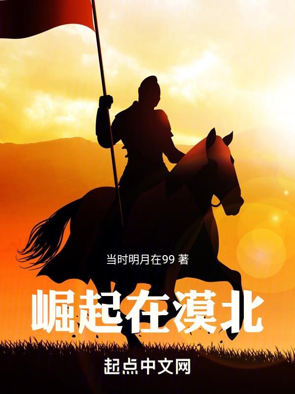 崛起在漠北封面