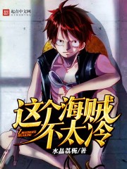 这个海贼不太冷封面