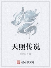 天照传说封面