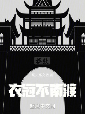 衣冠不南渡封面
