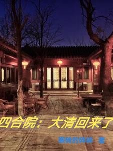 四合院:大清回来了封面