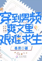 穿到男频爽文里艰难求生封面
