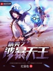 精灵之沙暴天王封面