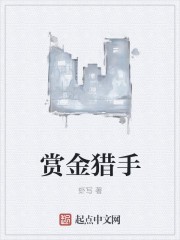 赏金猎手封面