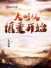 大明从慎重开始封面