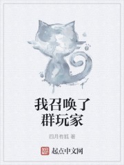 我召唤了群玩家封面