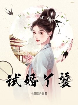 试婚丫鬟封面