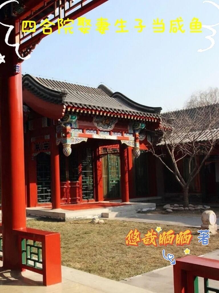 四合院娶妻生子当咸鱼封面