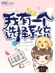 我有一个选择系统封面