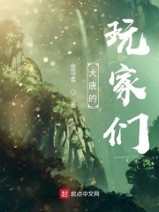 大唐的玩家们封面