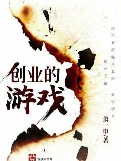 创业的游戏封面