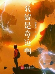 我就是奇迹啊封面