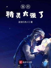 我的精灵太强了封面