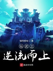仙武之逆流而上封面