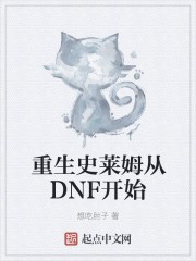重生史莱姆从DNF开始封面