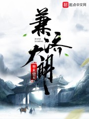 兼济大明封面