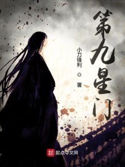 第九星门封面