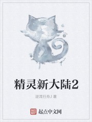 精灵新大陆2封面