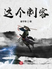 这个刺客封面