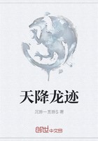 天降龙迹封面