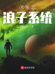 无限之浪子系统封面