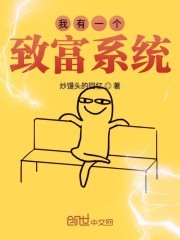 我有一个致富系统封面