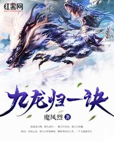 九龙归一诀封面