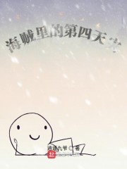 海贼里的第四天灾封面