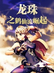 龙珠之鹤仙流崛起封面