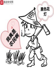 我真是农民啊封面