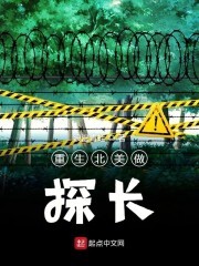 重生北美做探长封面