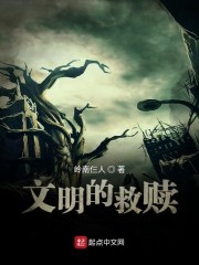 文明的救赎封面