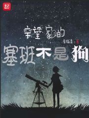 辛望家的塞班不是狗封面