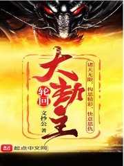 NPC角色扮演