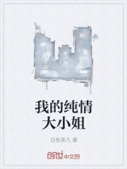 我的纯情大小姐封面