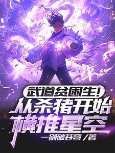 武道贫困生!从杀猪开始横推星空封面