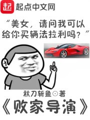 败家导演封面
