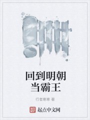 回到明朝当霸王封面