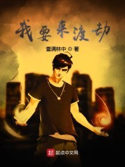 我要来渡劫封面