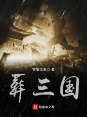 葬三国封面