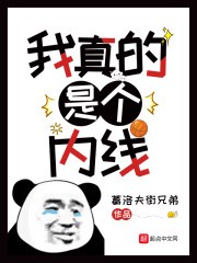 不小心统治了篮坛