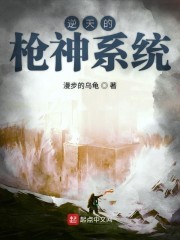 逆天的枪神系统封面